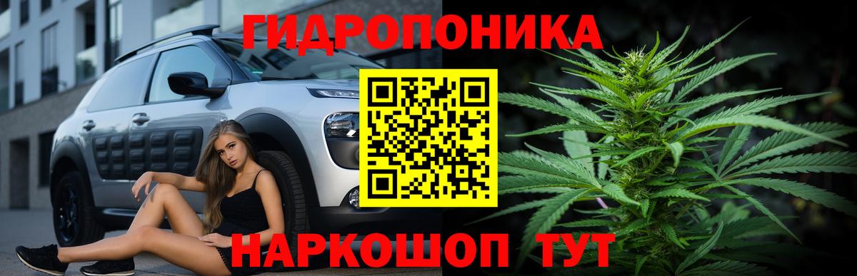 Канабис THC 21%  Шишки марихуана тримм  Канабис конопля  Вход с VPN  Губаха  Бошки Шишки план 